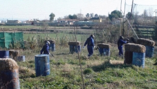 base del equipo azul